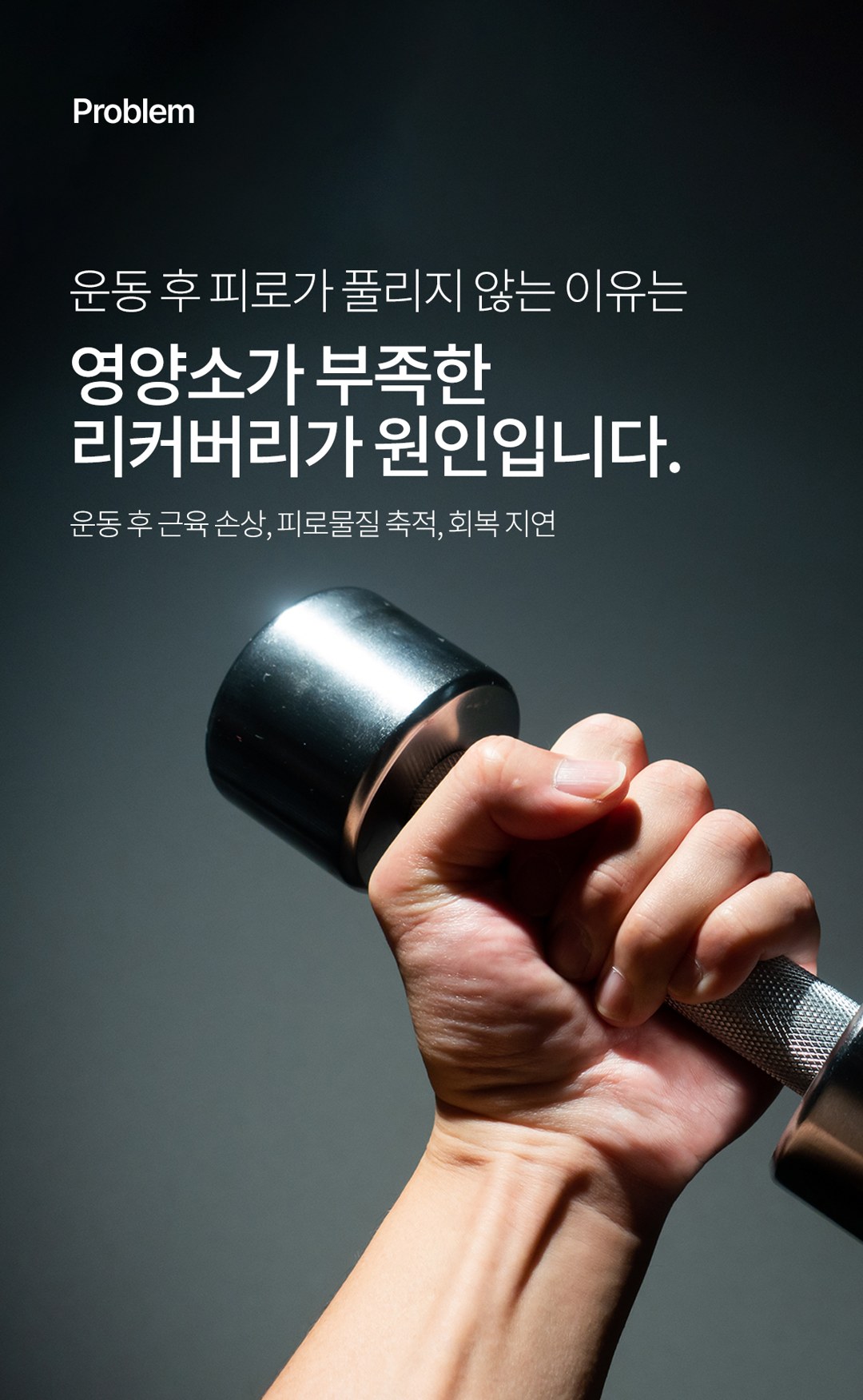 BCAA 상세 12